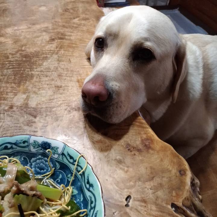 Ea74f826 9576 4593 9152 f6064446ae49 1556018607514