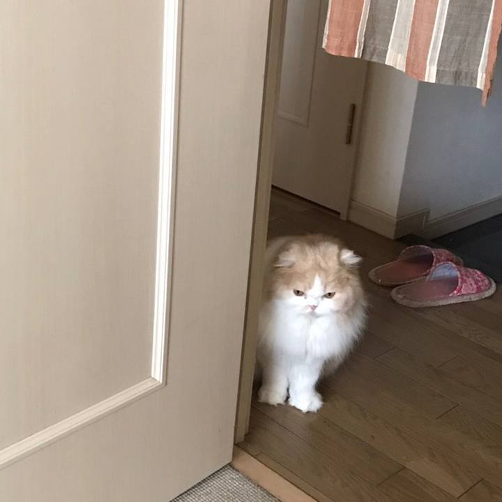 Ea751efc 9e8a 400b b206 945cb28626b9 1523537477185