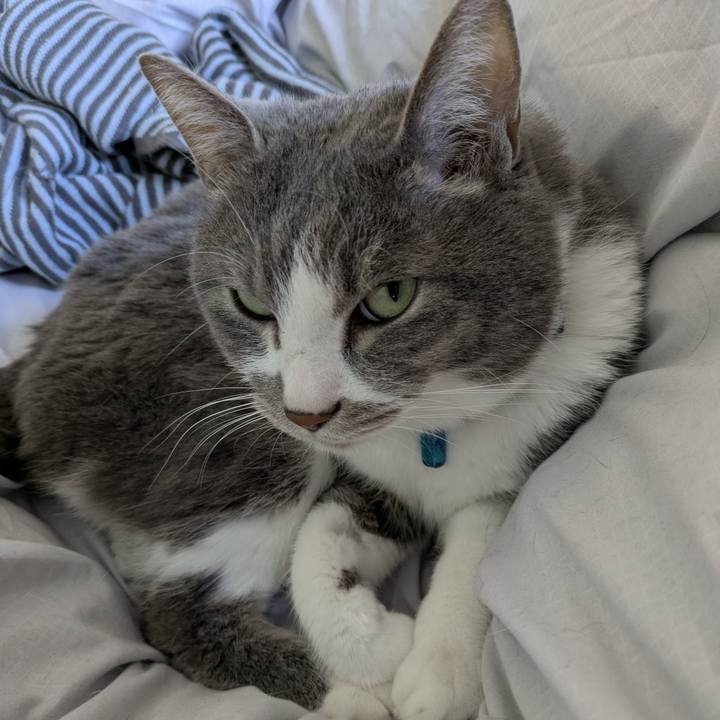 Ea7525da 9cf3 42df aeff a4a3467638ba 1773714156088