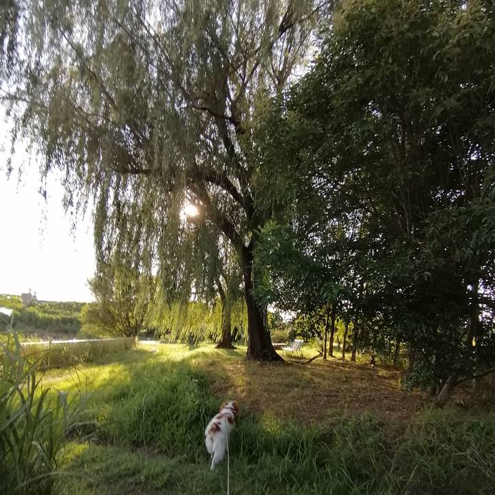 Ea75478f c997 4c35 a7bc ed8872c2e826 1627043335641