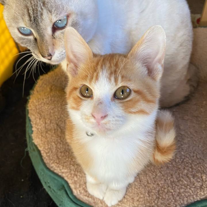 Ea756ac8 95a8 4de5 aab0 5678229d5059 1667954373039