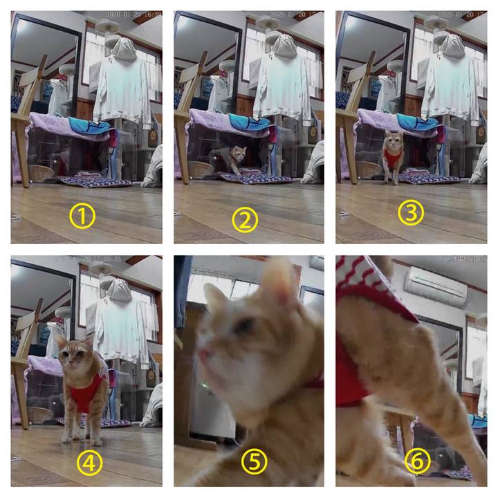 Ea75755e d943 4088 9527 6719973ade85 1579528228160