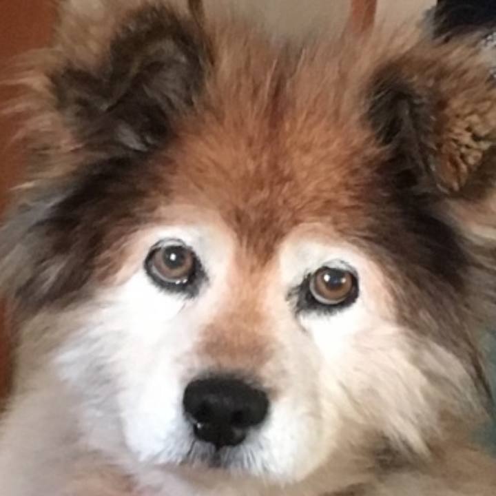 Ea758487 c537 4962 bcb4 446002797f8b 1595293046882