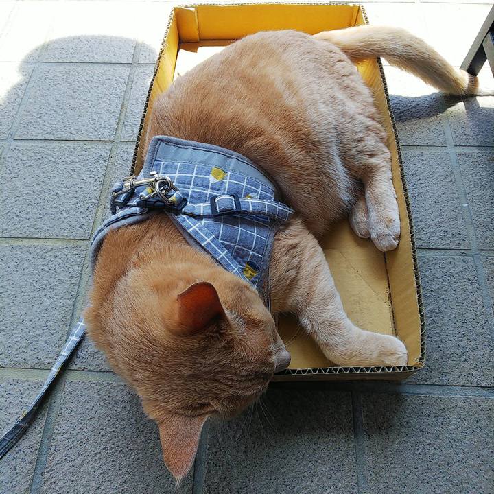 Ea75a24f 249e 42ee 9387 268de82be6ed 1686446730276