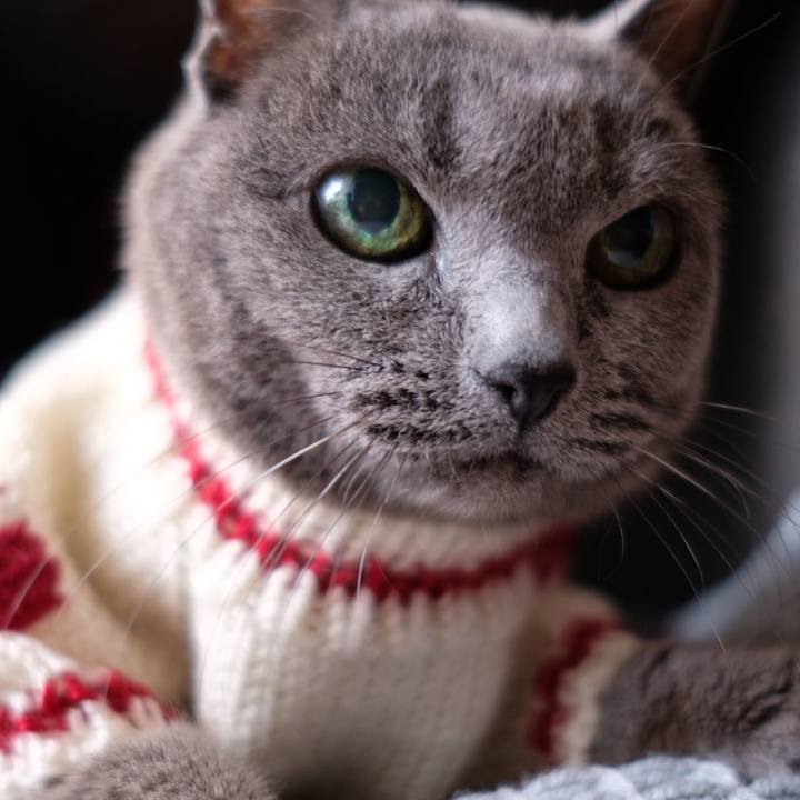 Ea75cd71 4b39 4449 9270 47c801fec377 1671843220780