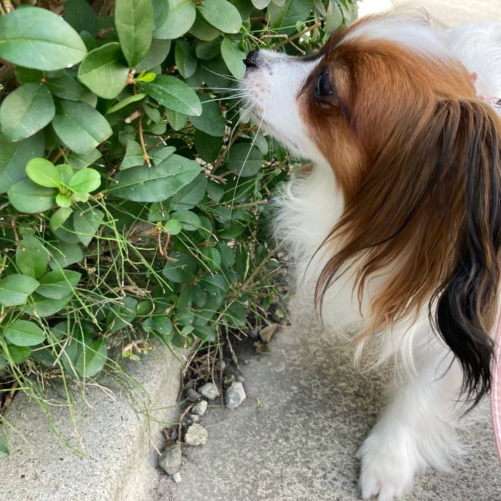 Ea75eb56 e5e6 4885 9bbc f2bff474aed3 1632449112915