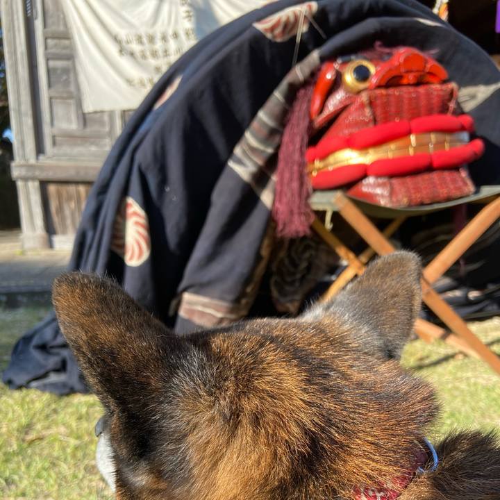 Ea75fbd2 3455 44c1 9a39 f887719bdd8e 1665913901207