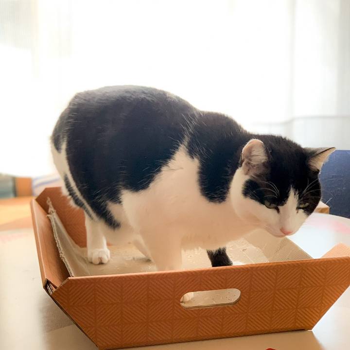 Ea75fc43 e8a9 4b4a 9b5e 1ef709ec8ba5 1583287238525