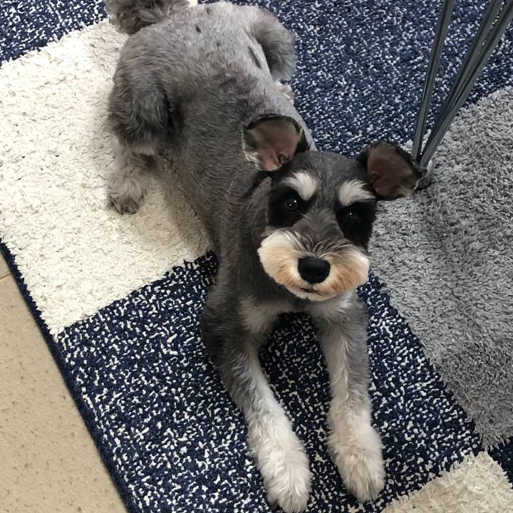 Ea7601ac a3ff 4bda 813a 5d8e494c3cea 1565924759926