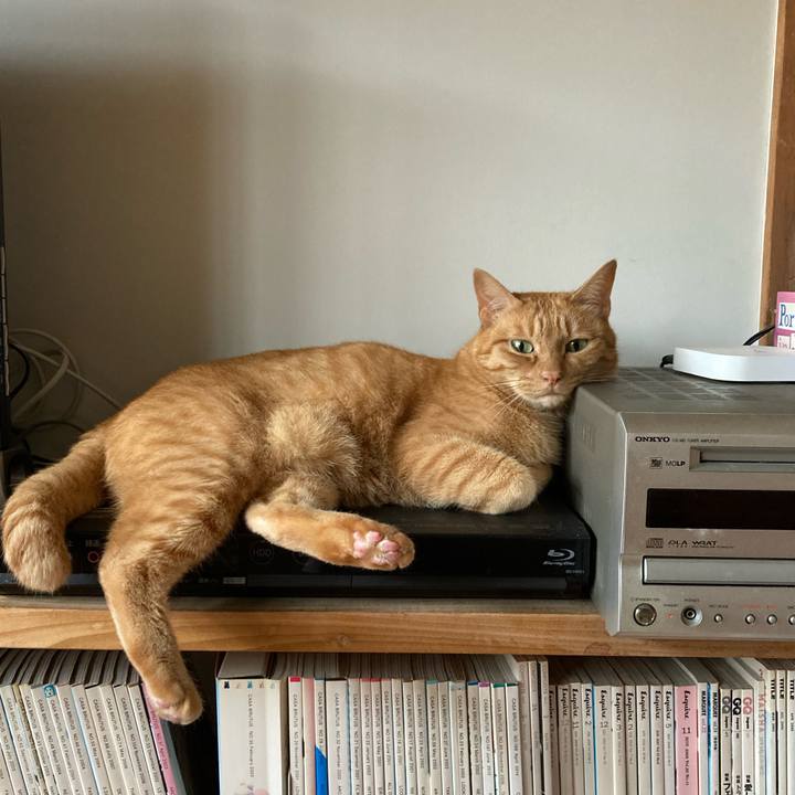 Ea7604f9 6da5 49a5 838e 99f32e780269 1658011822179