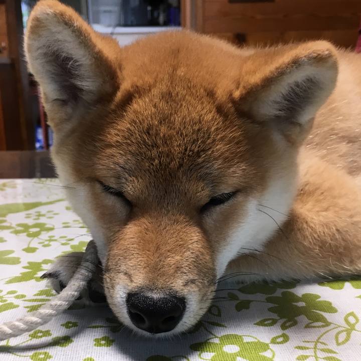 Ea7609b2 cf30 4059 9d10 13f200971d23 1540099149451