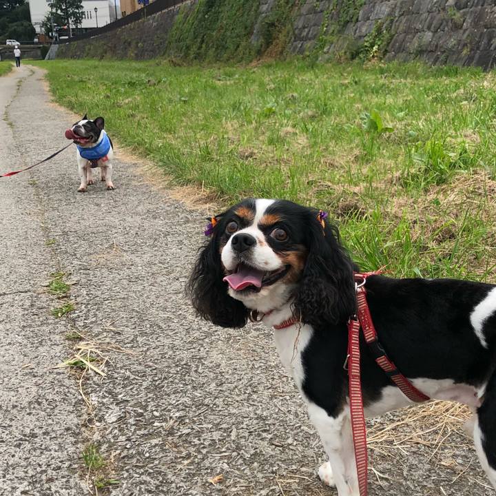 Ea766a6a 7e97 4849 ac5b 6915d1d97838 1537023147936