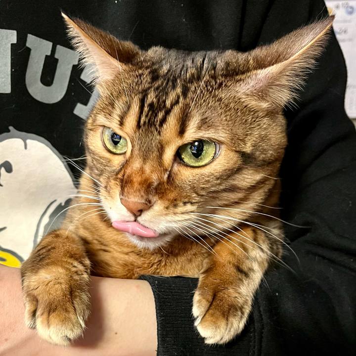 Ea766e30 d0f7 49d4 a5a7 63f9c15251f6 1669526030990