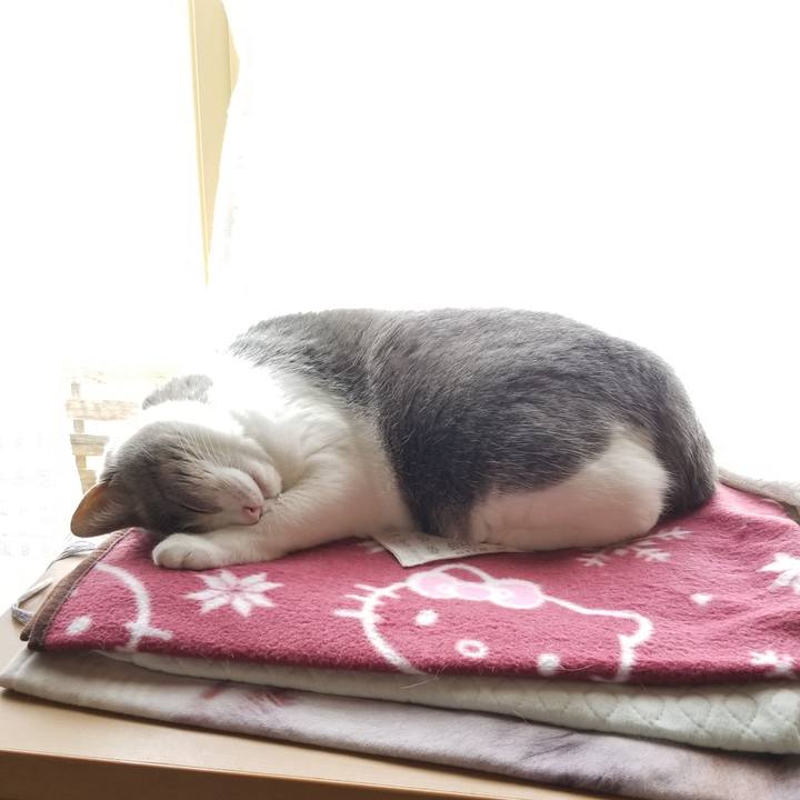 Ea76e971 8232 4ef7 820c 88eb91685a30 1631802318010