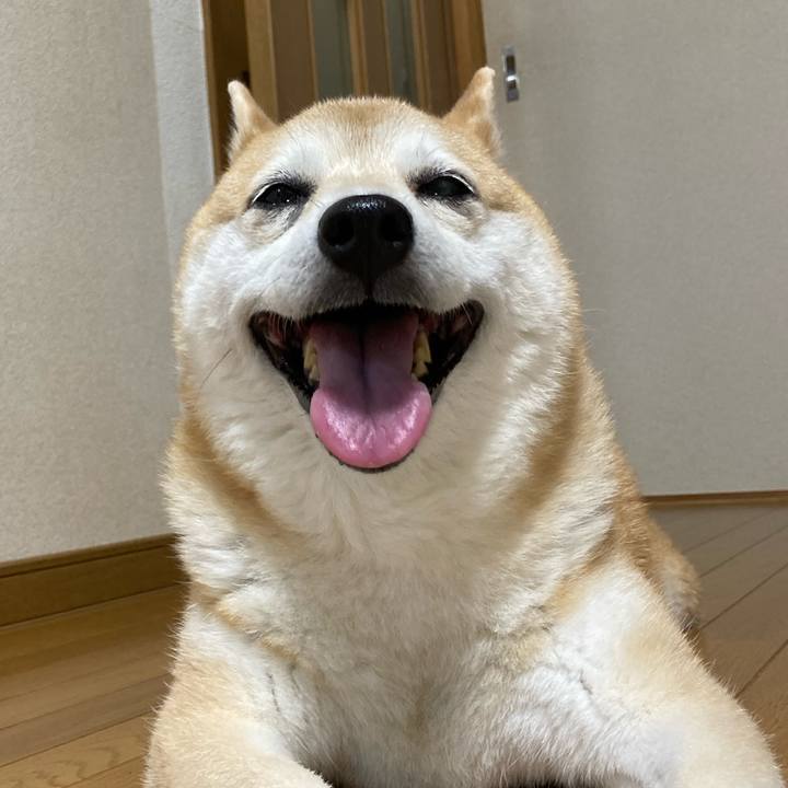 Ea776065 0378 49cf 8514 cdc495060d09 1628168928807