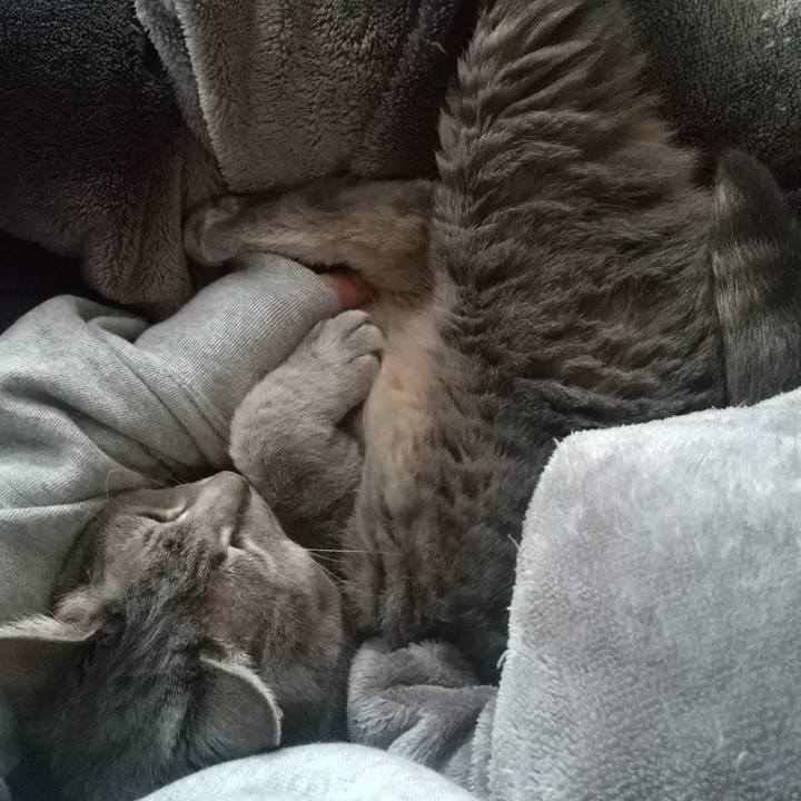 Ea779cfb 7f1f 4b08 953a ebf4daaced5e 1646548287730