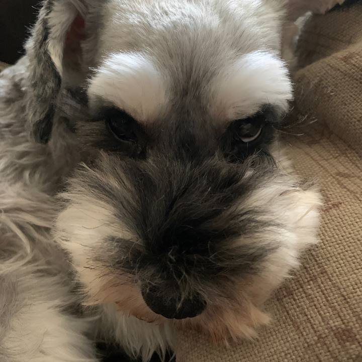 Ea77d6b5 831a 4262 844b 87651a49f161 1634521220391