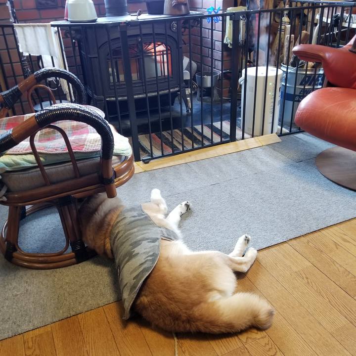 Ea77ed5d 8350 4bda a17e 02c7a80209aa 1644793763544