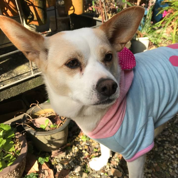 Ea77fdc1 9eeb 4f44 b0f1 165491946459 1546772094711