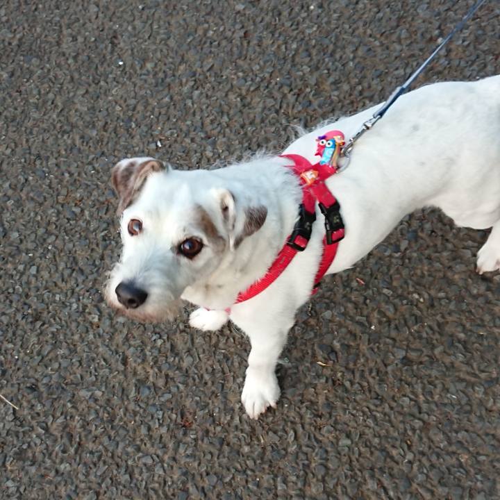 Ea78013a 6bd5 4a24 bb87 05227f08378e 1588376137305