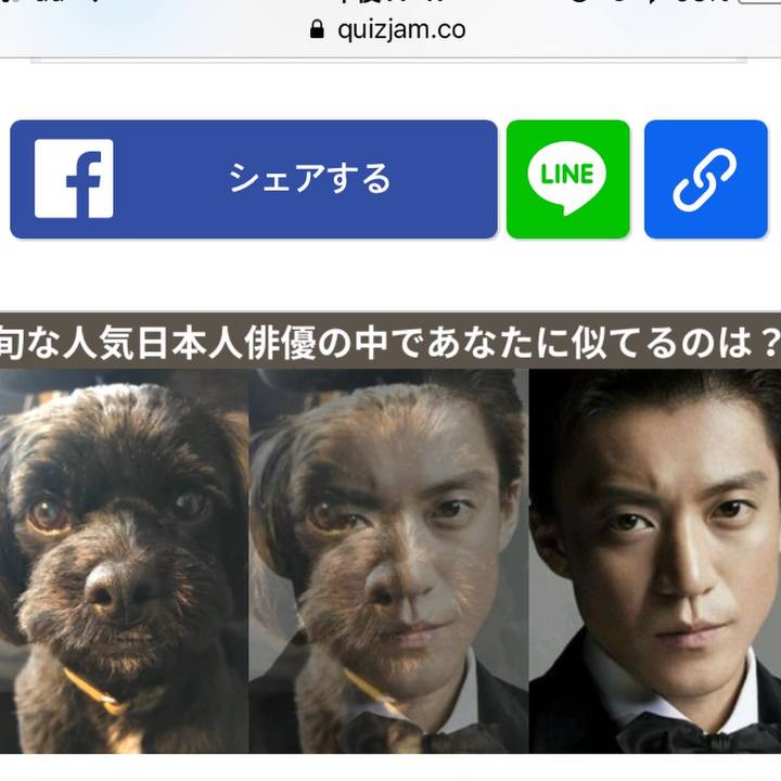 Ea780a56 4996 4862 b5be f95e4dfe388c 1528555971872