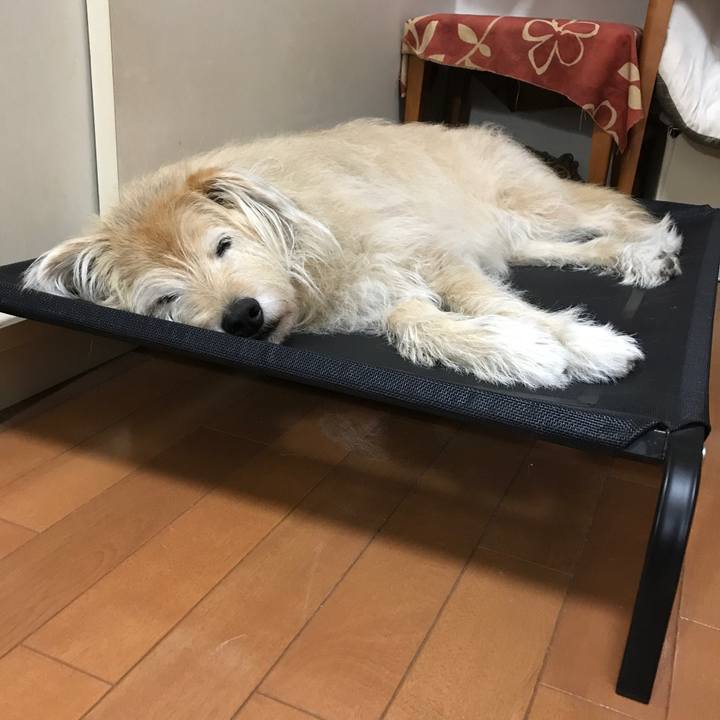 Ea78102c 35f2 428b b607 f922259f5a43 1623485642004