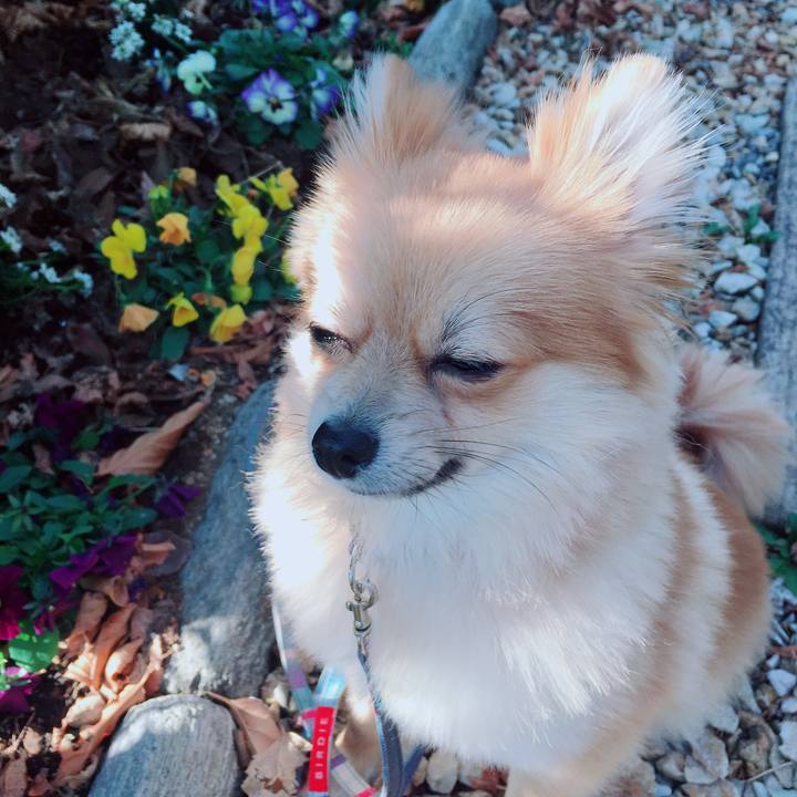 Ea781fce 8b7f 4bdd a2da fedffa02d48c 1519470749716