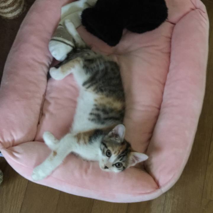 Ea784108 f403 4733 a08f 9699f93c9a25 1630395012149