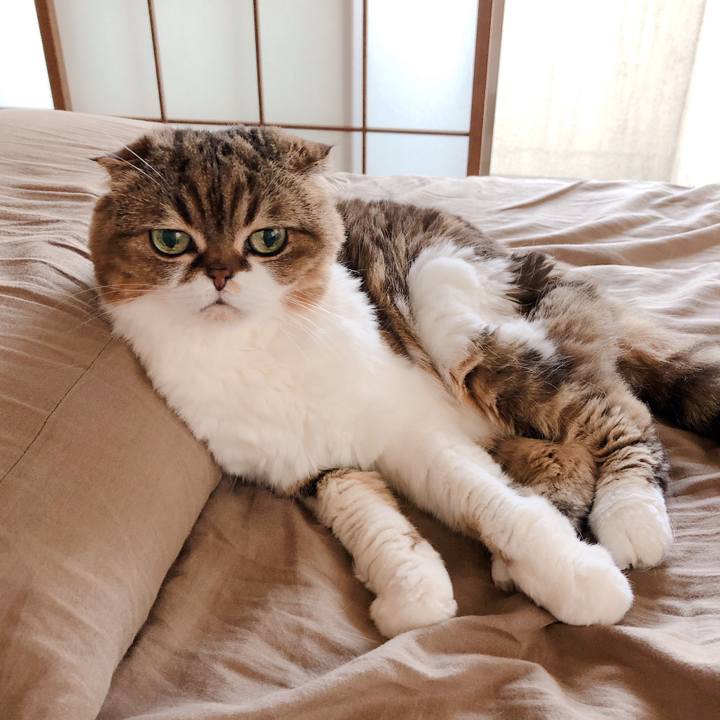 Ea7853b2 c1d4 4de6 b72f b15e46d6c71b 1561433893837