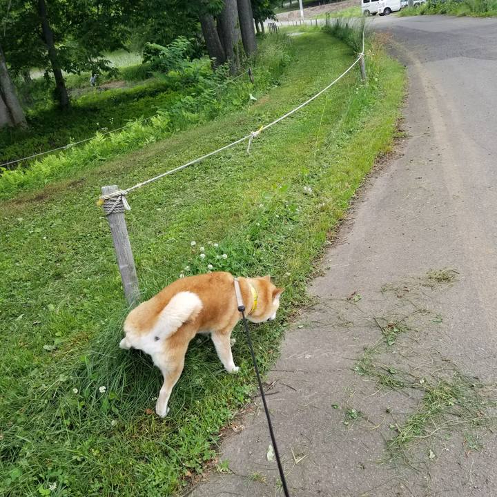 Ea78ac76 90f2 42f7 9b77 b5091a1be009 1686711643314