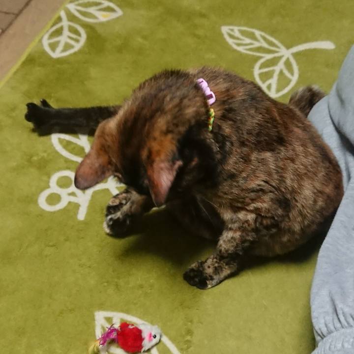 Ea78b937 c7eb 4b85 b6d6 96bc14937241 1511450372973