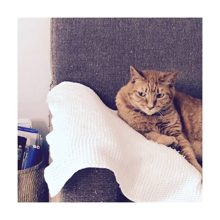 Ea78e870 46ee 4e31 bfb4 b475b2adb6e2 1623721173125