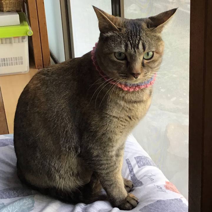 Ea78f17e 5527 4234 b435 7bf9ba5d48f6 1617255355616