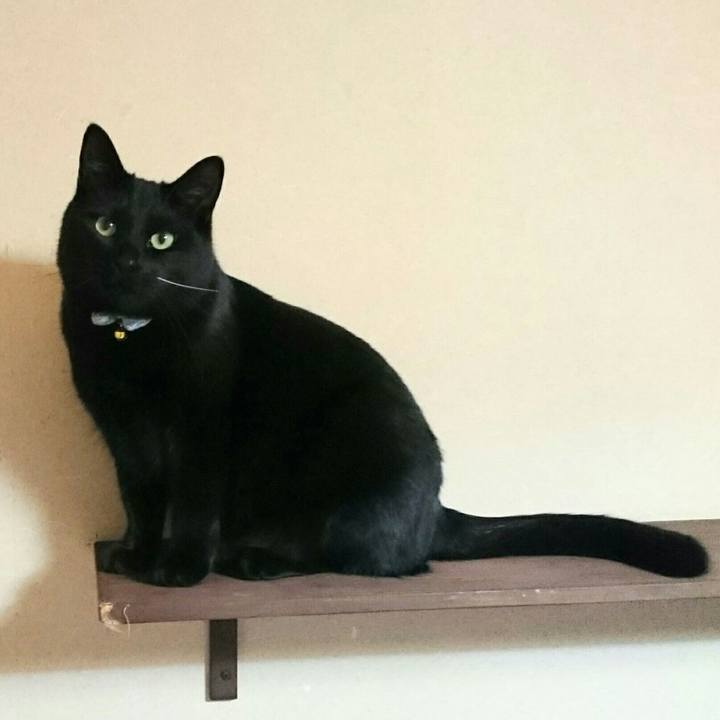 Ea79018f a7fb 4a59 96e3 d71767736107 1520293562323