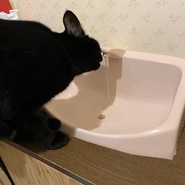 Ea791756 b30d 47b3 abb1 1b2e8b68bc5f 1603318632223