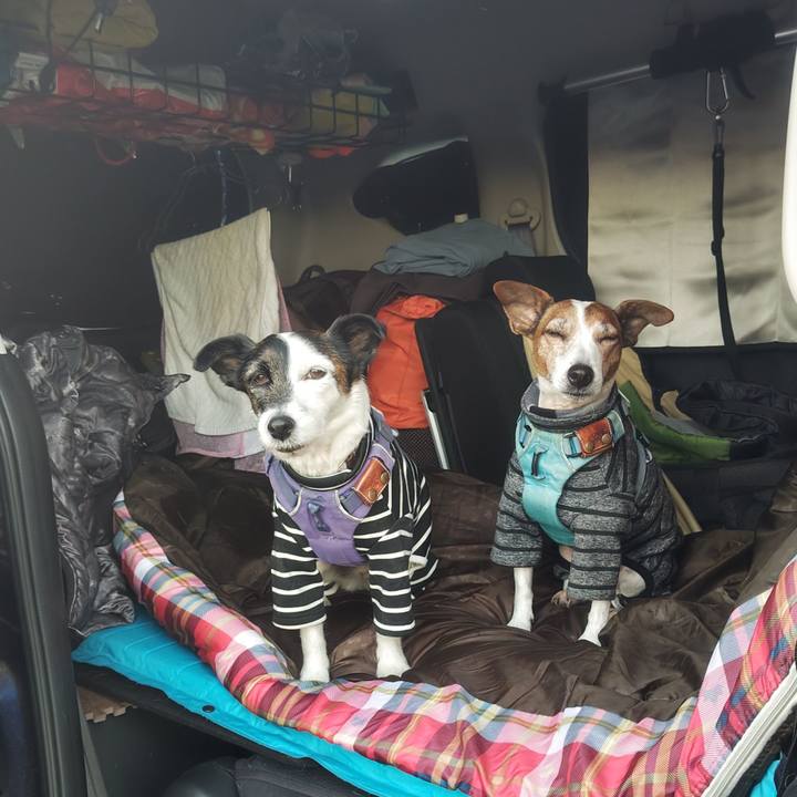 Ea7942e2 f095 44fb 9a5c 9e8a3404b1fc 1765753758569