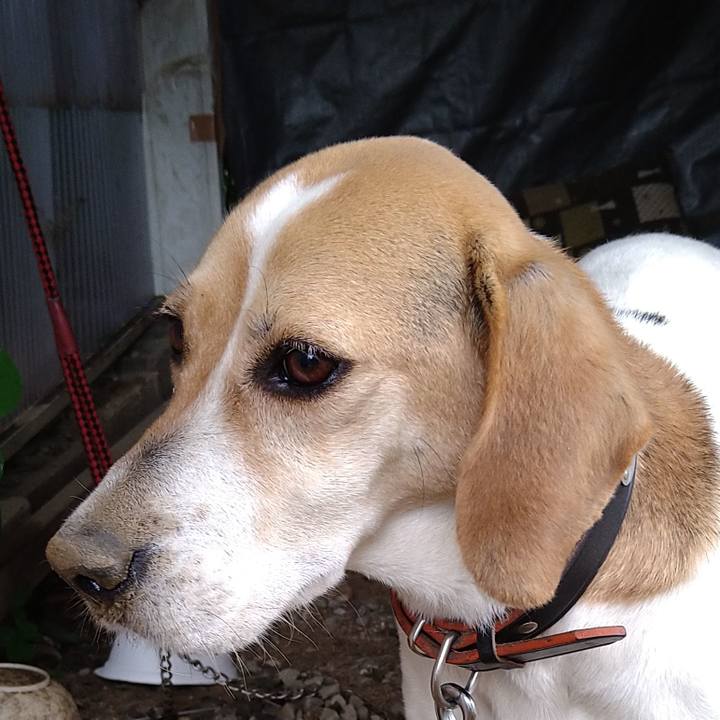 Ea794cb9 65c8 402d beaa 857f78ef1229 1661347964576