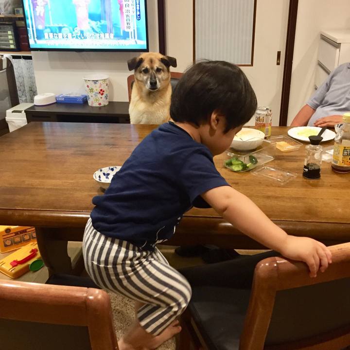 Ea79617b e394 4d07 87b7 08f5d6f2a413 1528281492802