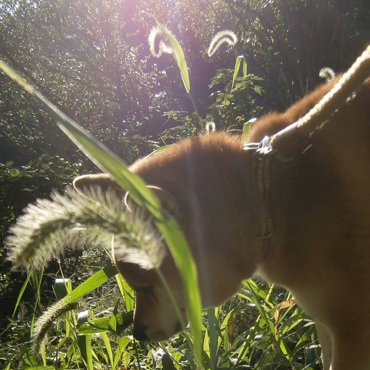 Ea797e84 cfe4 44ac a336 c87abb1ba9e6 1669332853926