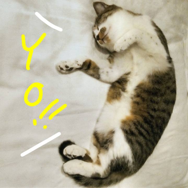 Ea799bc4 53f5 4a00 8b17 c5c4e22c44ef 1764541192193