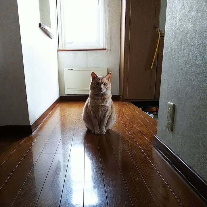 Ea79a5cb a264 49a5 ac4a b9b48c9e2f98 1620194925116