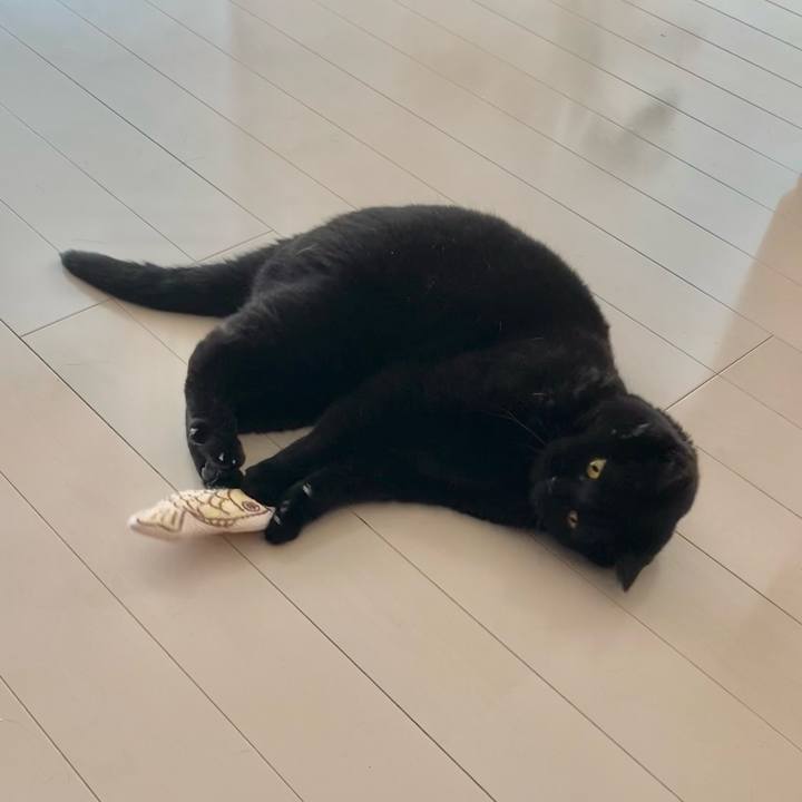 Ea79abb3 6008 4fd3 895c 39f83ca5d11f 1748163054146