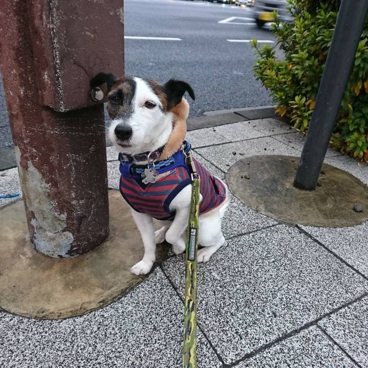 Ea79accc da64 4468 8e3f ef4fe0d29cb4 1515449780955