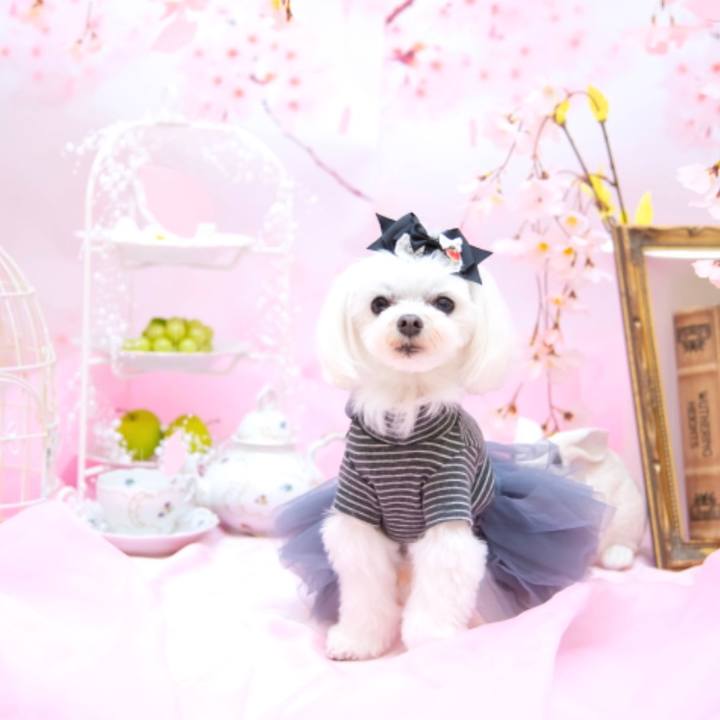 Ea79b7db 6d3b 4a32 b42a 33e440750a8f 1684021757542