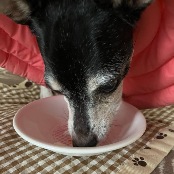 Ea7a00e0 bdcc 48de a5cf 3b7d4b63ed97 1635977627775