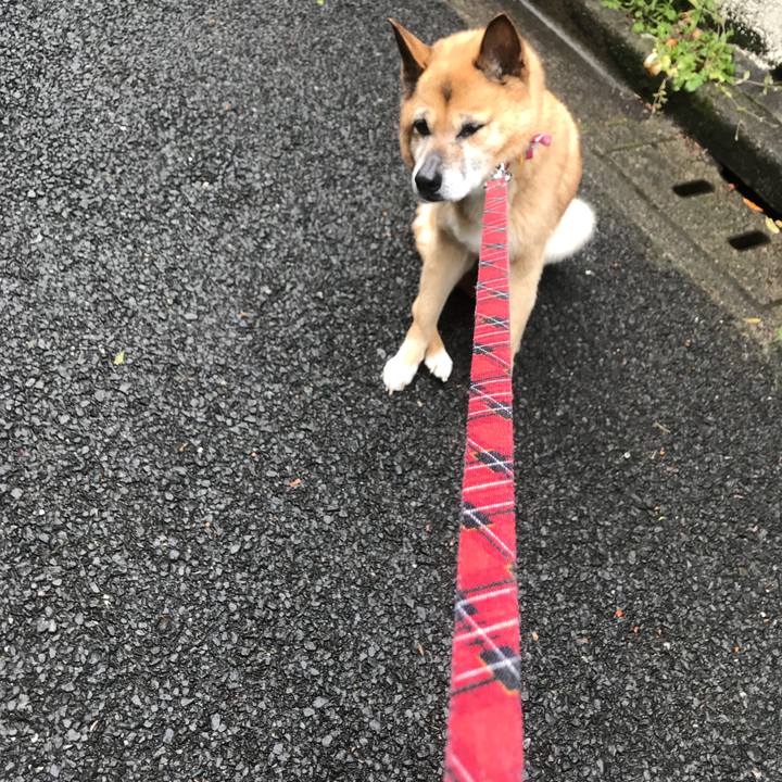 Ea7a097a 4415 47d3 b29f a6124e807427 1523751153469