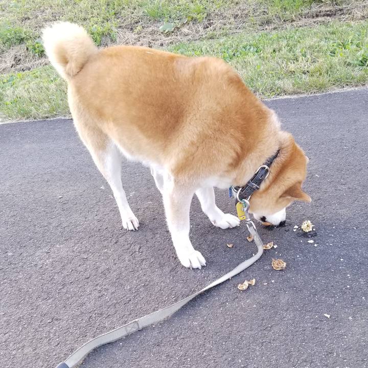 Ea7a1c20 71c8 4f51 baaa b322910155a1 1634889064785