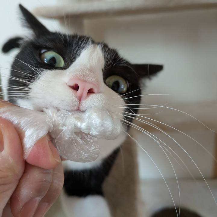 Ea7a32fa 78f8 400e 8e1b eb3d70c2e9a5 1762515285821