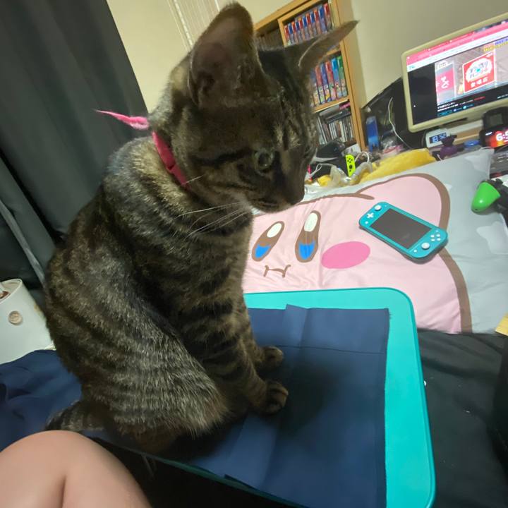 Ea7ad032 240d 423a 9c49 8dcc7de3a841 1617012299662