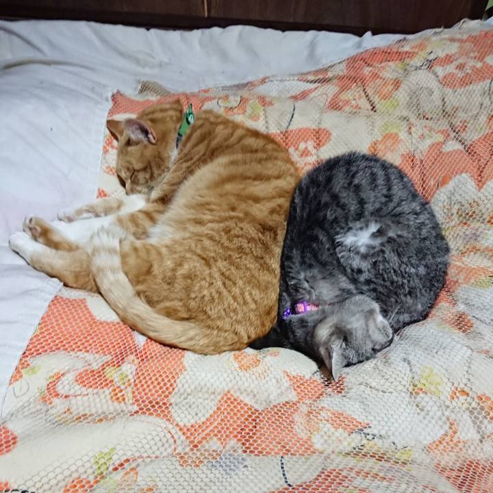 Ea7ae6e3 2f93 4147 a732 0df0921833d8 1581424664139